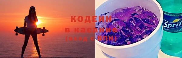 трава Карпинск