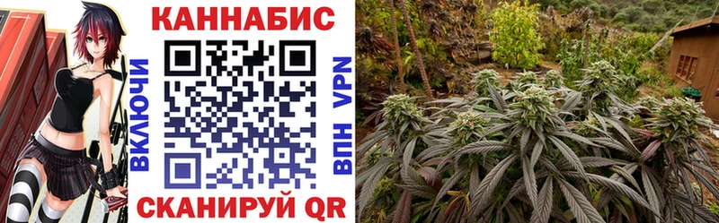 мега маркетплейс  Озёры  Канабис White Widow 